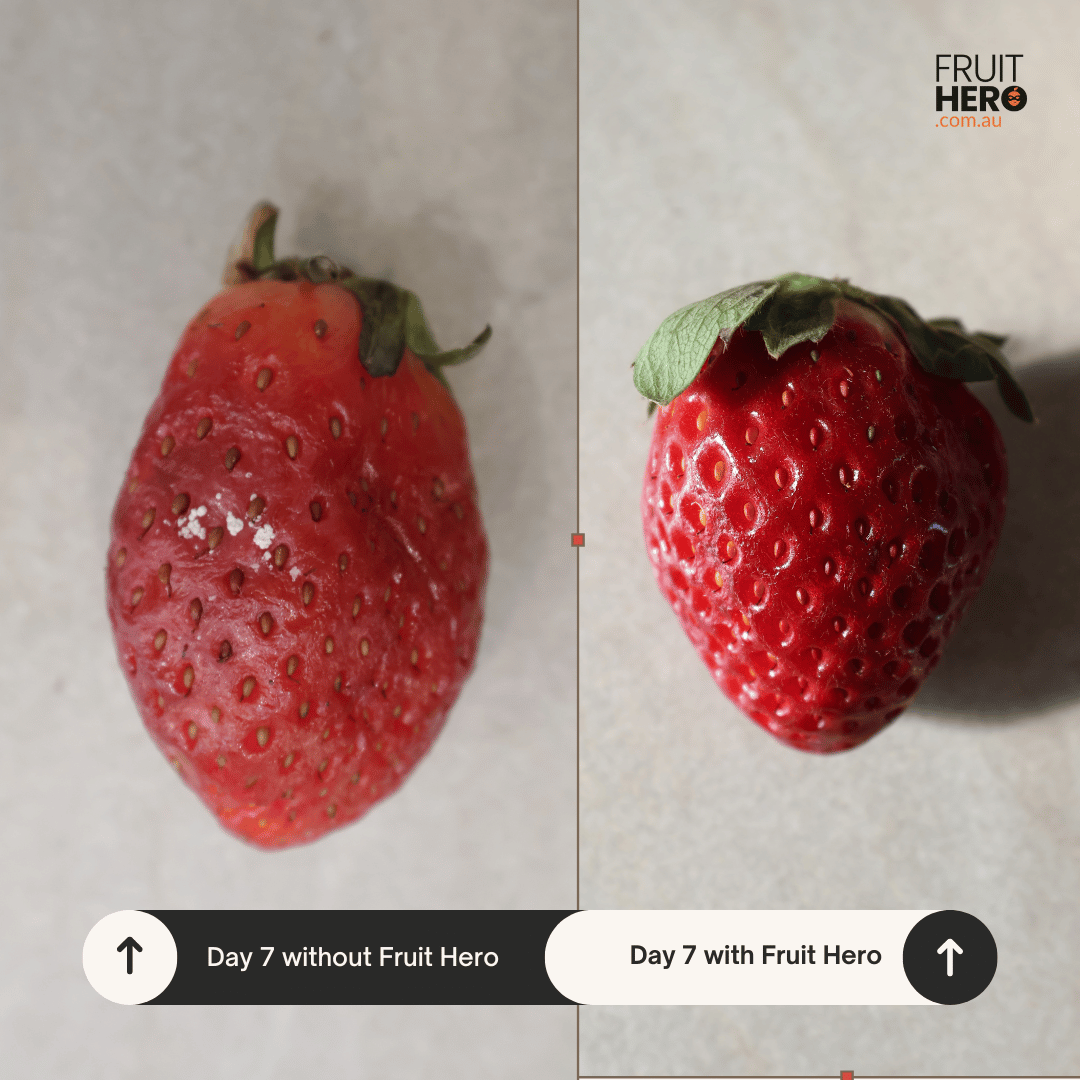 Fruit Hero Fridge Filter Pod