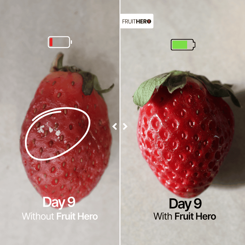 Our Hands-On Comparison Results