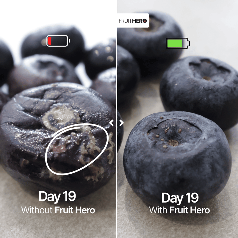 Our Hands-On Comparison Results