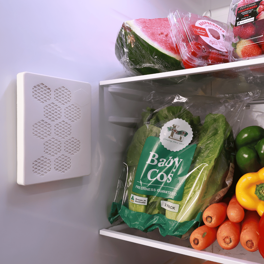 Fruit Hero Fridge Filter Pod