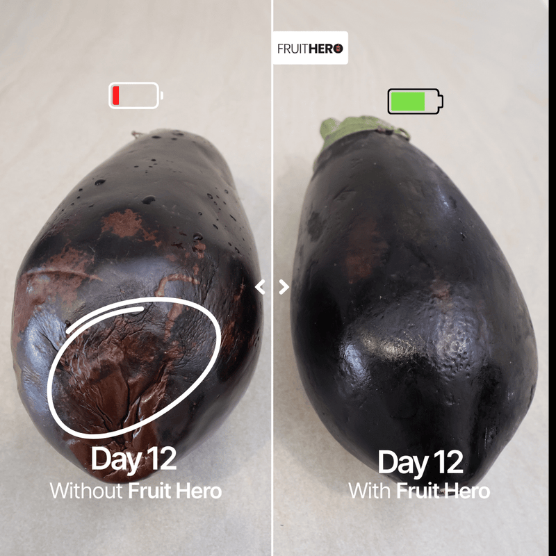 Our Hands-On Comparison Results