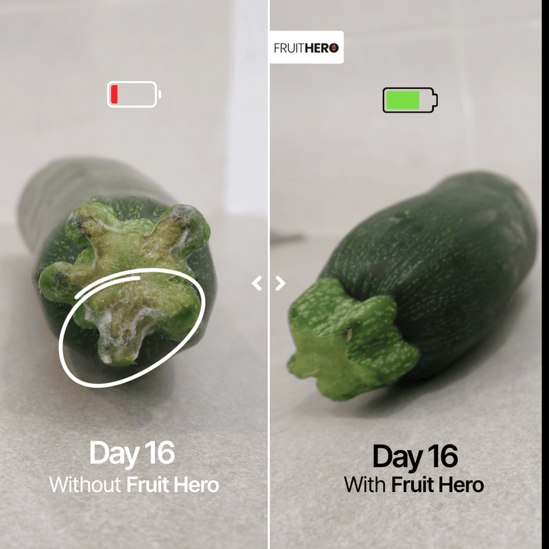 Our Hands-On Comparison Results