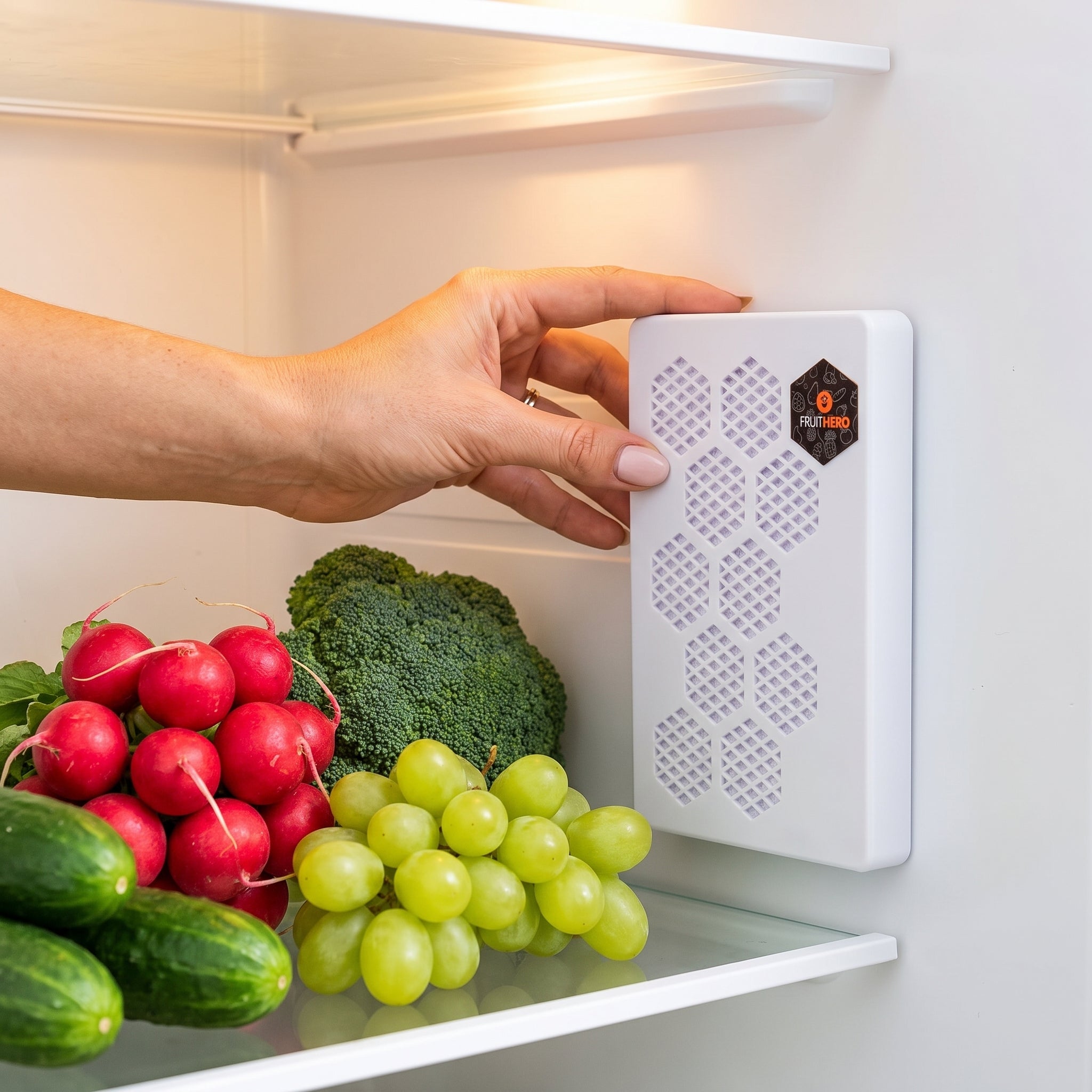 Fruit Hero Fridge Filter