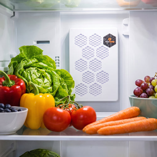Fruit Hero Fridge Filter
